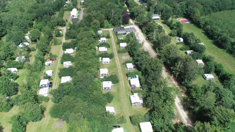 Barn, voksne og hunder... alle er velkomne på campingplassen i skogen.
